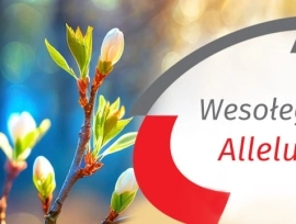 Aktualności - 0